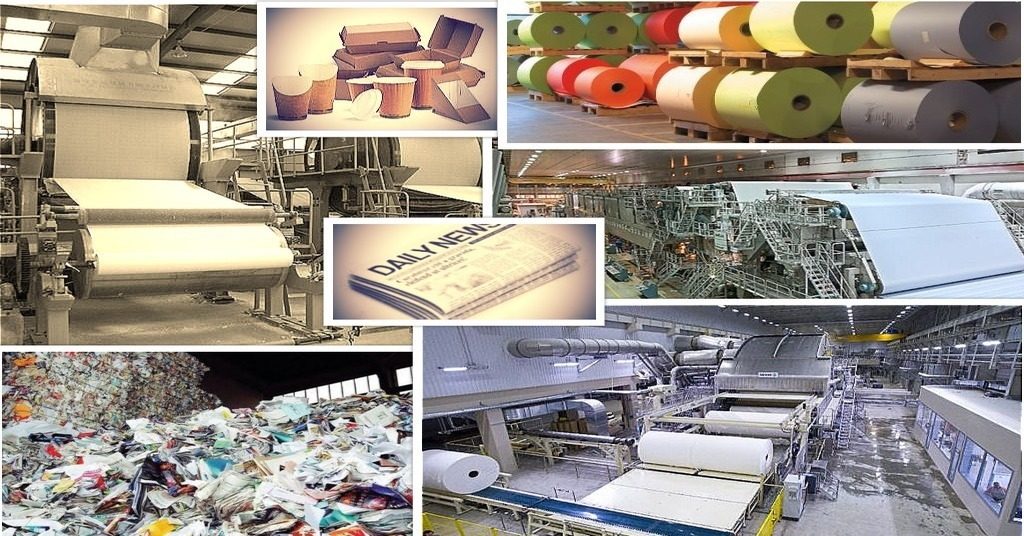 International Paper is the world's largest pulp and paper maker.
